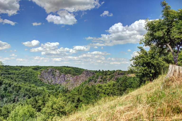 Divoká Šárka Nature Reserve & Gorge Prague
